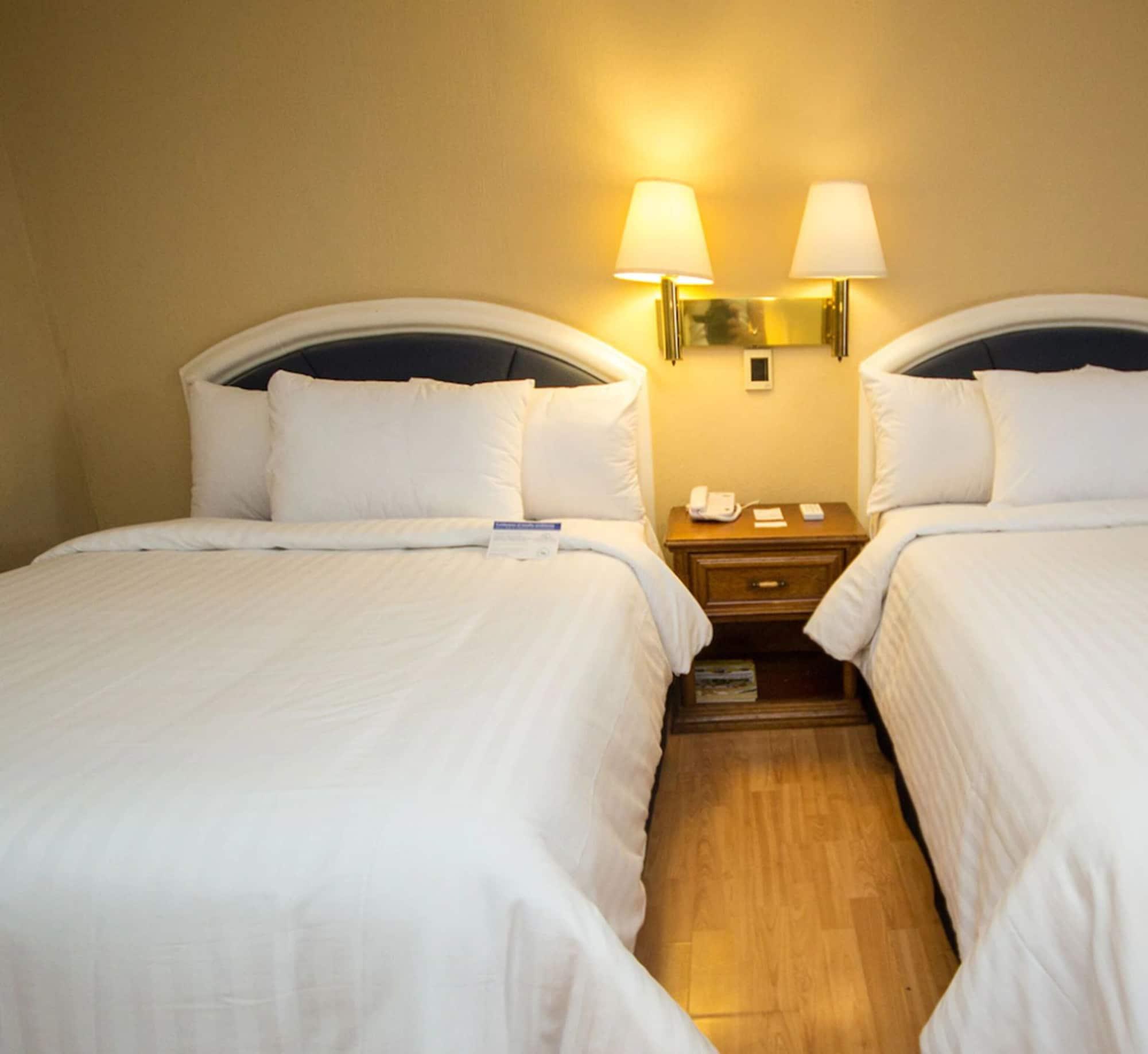 Hotel Gran Plaza & Convention Center Guanajuato Zewnętrze zdjęcie